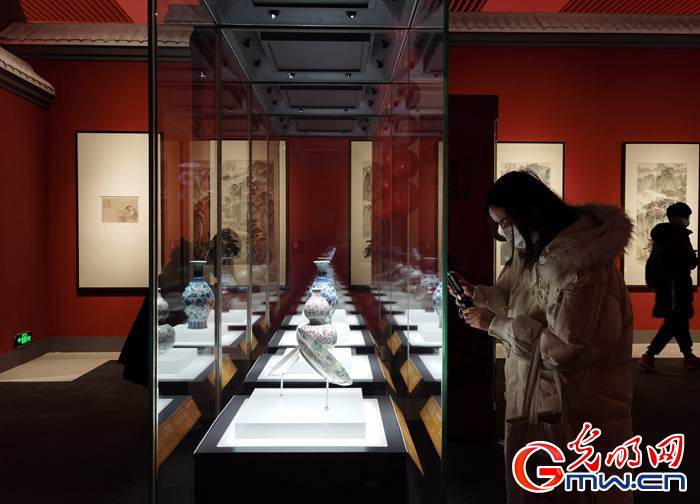 【新春走基層】視頻丨虎年看虎展！來國博感受虎文化